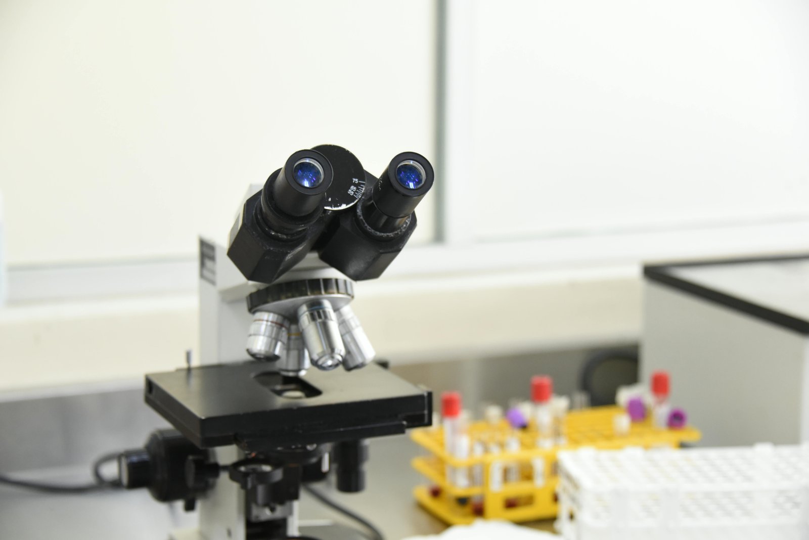 Cryptocurrency Forensics: Uncovering Digital Evidence in Modern Investigations